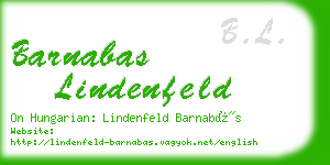 barnabas lindenfeld business card